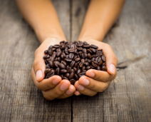 The Best (and Worst) Facts about Coffee