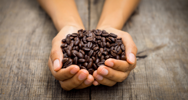 The Best (and Worst) Facts about Coffee